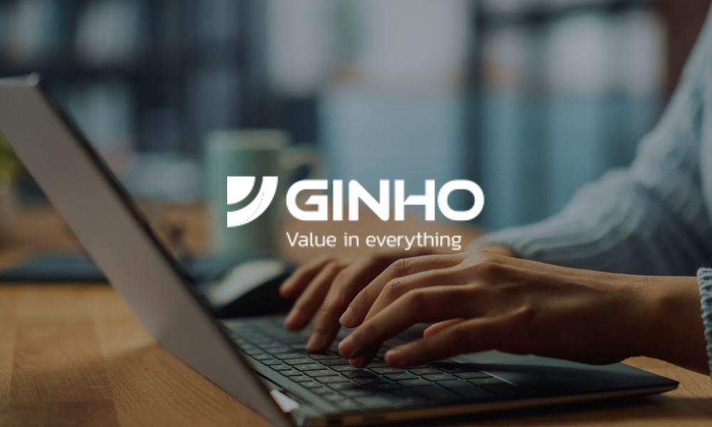 Ginho - Value in everything